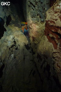 Grotte de Shanwangdong 山王洞 - réseau de Shuanghedongqun 双河洞 - (Suiyang 绥阳, Zunyi Shi 遵义市, Guizhou 贵州省, Chine 中国)