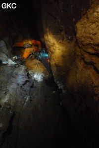Grotte de Shanwangdong 山王洞 - réseau de Shuanghedongqun 双河洞 - (Suiyang 绥阳, Zunyi Shi 遵义市, Guizhou 贵州省, Chine 中国)