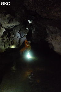 Grotte de Shanwangdong 山王洞 - réseau de Shuanghedongqun 双河洞 - (Suiyang 绥阳, Zunyi Shi 遵义市, Guizhou 贵州省, Chine 中国)