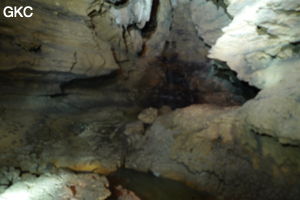 Grotte de Shanwangdong 山王洞 - réseau de Shuanghedongqun 双河洞 - (Suiyang 绥阳, Zunyi Shi 遵义市, Guizhou 贵州省, Chine 中国)