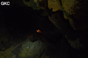 Grotte de Shanwangdong 山王洞 - réseau de Shuanghedongqun 双河洞 - (Suiyang 绥阳, Zunyi Shi 遵义市, Guizhou 贵州省, Chine 中国)