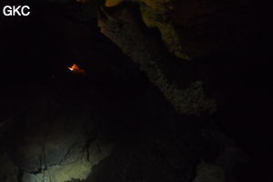 Grotte de Shanwangdong 山王洞 - réseau de Shuanghedongqun 双河洞 - (Suiyang 绥阳, Zunyi Shi 遵义市, Guizhou 贵州省, Chine 中国)