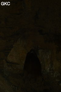 Grotte de Shanwangdong 山王洞 - réseau de Shuanghedongqun 双河洞 - (Suiyang 绥阳, Zunyi Shi 遵义市, Guizhou 贵州省, Chine 中国)