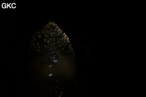Grotte de Shanwangdong 山王洞 - réseau de Shuanghedongqun 双河洞 - (Suiyang 绥阳, Zunyi Shi 遵义市, Guizhou 贵州省, Chine 中国)