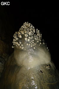 Grotte de Shanwangdong 山王洞 - réseau de Shuanghedongqun 双河洞 - (Suiyang 绥阳, Zunyi Shi 遵义市, Guizhou 贵州省, Chine 中国)