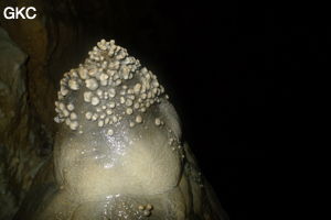 Grotte de Shanwangdong 山王洞 - réseau de Shuanghedongqun 双河洞 - (Suiyang 绥阳, Zunyi Shi 遵义市, Guizhou 贵州省, Chine 中国)
