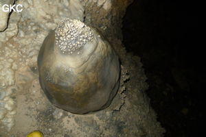 Grotte de Shanwangdong 山王洞 - réseau de Shuanghedongqun 双河洞 - (Suiyang 绥阳, Zunyi Shi 遵义市, Guizhou 贵州省, Chine 中国)