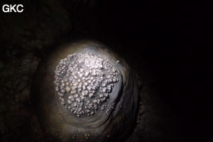 Grotte de Shanwangdong 山王洞 - réseau de Shuanghedongqun 双河洞 - (Suiyang 绥阳, Zunyi Shi 遵义市, Guizhou 贵州省, Chine 中国)