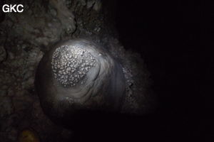 Grotte de Shanwangdong 山王洞 - réseau de Shuanghedongqun 双河洞 - (Suiyang 绥阳, Zunyi Shi 遵义市, Guizhou 贵州省, Chine 中国)