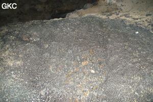 Grotte de Shanwangdong 山王洞 - réseau de Shuanghedongqun 双河洞 - (Suiyang 绥阳, Zunyi Shi 遵义市, Guizhou 贵州省, Chine 中国)