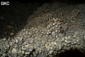 Grotte de Shanwangdong 山王洞 - réseau de Shuanghedongqun 双河洞 - (Suiyang 绥阳, Zunyi Shi 遵义市, Guizhou 贵州省, Chine 中国)