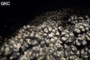 Grotte de Shanwangdong 山王洞 - réseau de Shuanghedongqun 双河洞 - (Suiyang 绥阳, Zunyi Shi 遵义市, Guizhou 贵州省, Chine 中国)