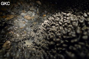 Grotte de Shanwangdong 山王洞 - réseau de Shuanghedongqun 双河洞 - (Suiyang 绥阳, Zunyi Shi 遵义市, Guizhou 贵州省, Chine 中国)