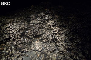 Grotte de Shanwangdong 山王洞 - réseau de Shuanghedongqun 双河洞 - (Suiyang 绥阳, Zunyi Shi 遵义市, Guizhou 贵州省, Chine 中国)