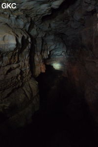 Grotte de Shanwangdong 山王洞 - réseau de Shuanghedongqun 双河洞 - (Suiyang 绥阳, Zunyi Shi 遵义市, Guizhou 贵州省, Chine 中国)