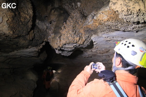 Grotte de Shanwangdong 山王洞 - réseau de Shuanghedongqun 双河洞 - (Suiyang 绥阳, Zunyi Shi 遵义市, Guizhou 贵州省, Chine 中国)