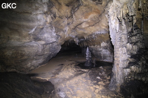 Stalagmites, Grotte de Shanwangdong 山王洞 - réseau de Shuanghedongqun 双河洞 - (Suiyang 绥阳, Zunyi Shi 遵义市, Guizhou 贵州省, Chine 中国)