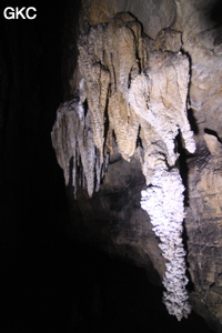 Stalactites, Grotte de Shanwangdong 山王洞 - réseau de Shuanghedongqun 双河洞 - (Suiyang 绥阳, Zunyi Shi 遵义市, Guizhou 贵州省, Chine 中国)