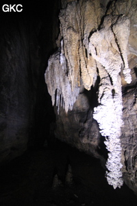 Stalactites, Grotte de Shanwangdong 山王洞 - réseau de Shuanghedongqun 双河洞 - (Suiyang 绥阳, Zunyi Shi 遵义市, Guizhou 贵州省, Chine 中国)