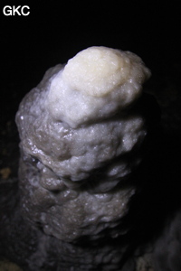 Stalagmite, Grotte de Shanwangdong 山王洞 - réseau de Shuanghedongqun 双河洞 - (Suiyang 绥阳, Zunyi Shi 遵义市, Guizhou 贵州省, Chine 中国)