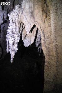 Stalactites, Grotte de Shanwangdong 山王洞 - réseau de Shuanghedongqun 双河洞 - (Suiyang 绥阳, Zunyi Shi 遵义市, Guizhou 贵州省, Chine 中国)