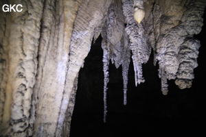 Stalactites, Grotte de Shanwangdong 山王洞 - réseau de Shuanghedongqun 双河洞 - (Suiyang 绥阳, Zunyi Shi 遵义市, Guizhou 贵州省, Chine 中国)