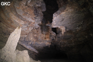 Grotte de Dafengdong 大风洞 - réseau de Shuanghedongqun 双河洞 - (Suiyang 绥阳,  Zunyi Shi 遵义市, Guizhou 贵州省)