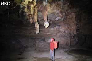 Stalactites dans la Grotte de Dafengdong 大风洞 - réseau de Shuanghedongqun 双河洞 - (Suiyang 绥阳,  Zunyi Shi 遵义市, Guizhou 贵州省)