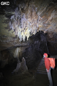 Stalactites dans la Grotte de Dafengdong 大风洞 - réseau de Shuanghedongqun 双河洞 - (Suiyang 绥阳,  Zunyi Shi 遵义市, Guizhou 贵州省)