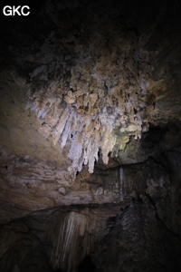 Stalactites dans la Grotte de Dafengdong 大风洞 - réseau de Shuanghedongqun 双河洞 - (Suiyang 绥阳,  Zunyi Shi 遵义市, Guizhou 贵州省)