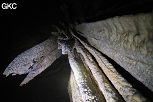 Stalactites dans la Grotte aménagée de Dafengdong 大风洞 - réseau de Shuanghedongqun 双河洞 - (Suiyang 绥阳,  Zunyi Shi 遵义市, Guizhou 贵州省)