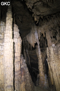 Stalagmites et colonnes dans la Grotte de Dafengdong 大风洞 - réseau de Shuanghedongqun 双河洞 - (Suiyang 绥阳,  Zunyi Shi 遵义市, Guizhou 贵州省)
