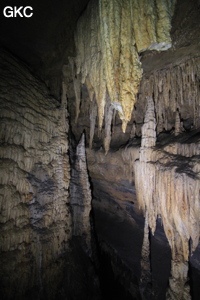 Stalactites brisées dans la Grotte de Dafengdong 大风洞 - réseau de Shuanghedongqun 双河洞 - (Suiyang 绥阳,  Zunyi Shi 遵义市, Guizhou 贵州省)