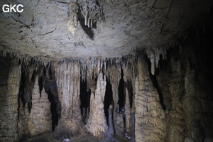 Petits piliers dans la Grotte de Dafengdong 大风洞 - réseau de Shuanghedongqun 双河洞 - (Suiyang 绥阳,  Zunyi Shi 遵义市, Guizhou 贵州省)
