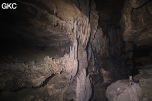 Grotte de Dafengdong 大风洞 - réseau de Shuanghedongqun 双河洞 - (Suiyang 绥阳,  Zunyi Shi 遵义市, Guizhou 贵州省)