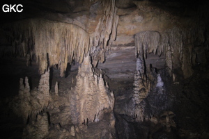 Grotte de Dafengdong 大风洞 - réseau de Shuanghedongqun 双河洞 - (Suiyang 绥阳,  Zunyi Shi 遵义市, Guizhou 贵州省)