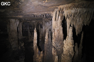 Concrétions dans la Grotte de Dafengdong 大风洞 - réseau de Shuanghedongqun 双河洞 - (Suiyang 绥阳,  Zunyi Shi 遵义市, Guizhou 贵州省)