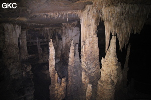 Concrétions dans la Grotte de Dafengdong 大风洞 - réseau de Shuanghedongqun 双河洞 - (Suiyang 绥阳,  Zunyi Shi 遵义市, Guizhou 贵州省)