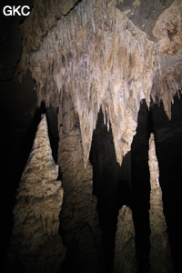 Concrétions dans la Grotte de Dafengdong 大风洞 - réseau de Shuanghedongqun 双河洞 - (Suiyang 绥阳,  Zunyi Shi 遵义市, Guizhou 贵州省)