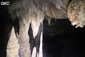 Stalactites et stalagmites dans la Grotte de Dafengdong 大风洞 - réseau de Shuanghedongqun 双河洞 - (Suiyang 绥阳,  Zunyi Shi 遵义市, Guizhou 贵州省)