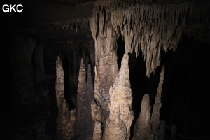 Stalactites et stalagmites dans la Grotte de Dafengdong 大风洞 - réseau de Shuanghedongqun 双河洞 - (Suiyang 绥阳,  Zunyi Shi 遵义市, Guizhou 贵州省)