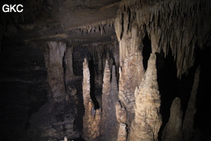 Stalactites et stalagmites dans la Grotte de Dafengdong 大风洞 - réseau de Shuanghedongqun 双河洞 - (Suiyang 绥阳,  Zunyi Shi 遵义市, Guizhou 贵州省)