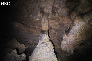 Concrétions dans la Grotte de Dafengdong 大风洞 - réseau de Shuanghedongqun 双河洞 - (Suiyang 绥阳,  Zunyi Shi 遵义市, Guizhou 贵州省)