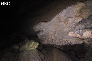 Grotte de Dafengdong 大风洞 - réseau de Shuanghedongqun 双河洞 - (Suiyang 绥阳,  Zunyi Shi 遵义市, Guizhou 贵州省)