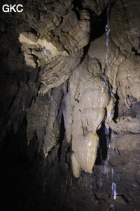 Stalactites, coulée et arrivée d'eau dans la Grotte de Dafengdong 大风洞 - réseau de Shuanghedongqun 双河洞 - (Suiyang 绥阳,  Zunyi Shi 遵义市, Guizhou 贵州省)