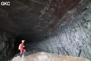 Grotte de Pixiaodong 皮硝洞 - réseau de Shuanghedong 双河洞 - (Wenquan, Suiyang 绥阳, Zunyi 遵义市, Guizhou 贵州省, Chine 中国).