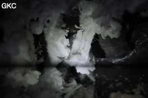Grotte de Pixiaodong 皮硝洞 - réseau de Shuanghedong 双河洞 - (Wenquan, Suiyang 绥阳, Zunyi 遵义市, Guizhou 贵州省, Chine 中国).