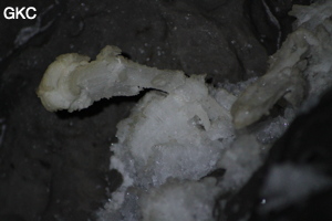 Grotte de Pixiaodong 皮硝洞 - réseau de Shuanghedong 双河洞 - (Wenquan, Suiyang 绥阳, Zunyi 遵义市, Guizhou 贵州省, Chine 中国).