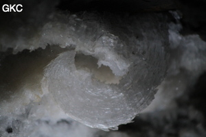 Crosse de gypse dans la Grotte de Pixiaodong 皮硝洞 - réseau de Shuanghedong 双河洞 - (Wenquan, Suiyang 绥阳, Zunyi 遵义市, Guizhou 贵州省, Chine 中国).