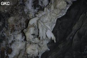 Grotte de Pixiaodong 皮硝洞 - réseau de Shuanghedong 双河洞 - (Wenquan, Suiyang 绥阳, Zunyi 遵义市, Guizhou 贵州省, Chine 中国).